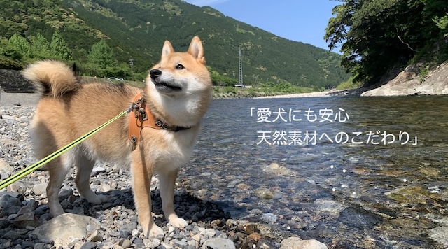 愛犬にも良い素材を